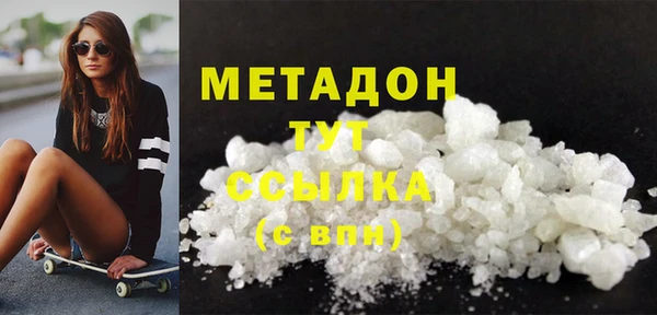 прущие грибы Беломорск