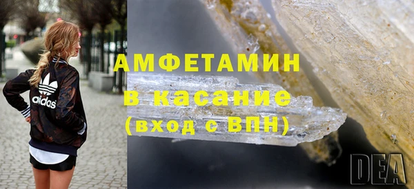 прущие грибы Беломорск
