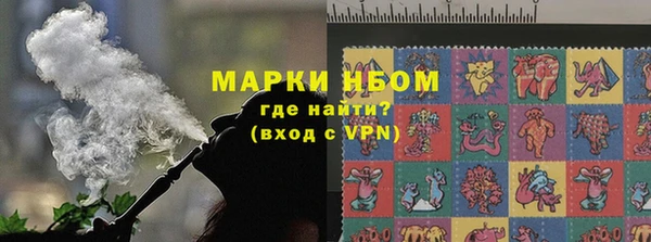 прущие грибы Беломорск