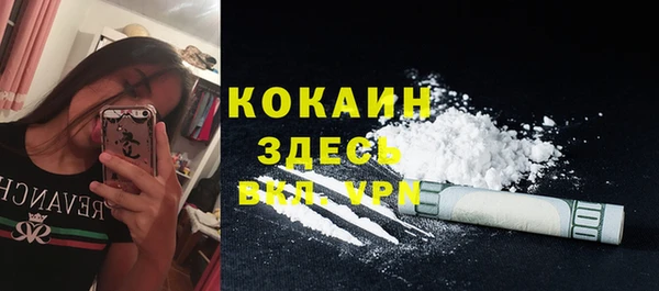 прущие грибы Беломорск