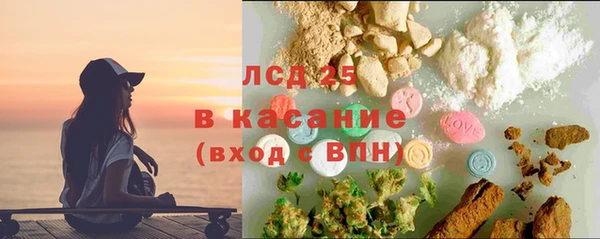 прущие грибы Беломорск