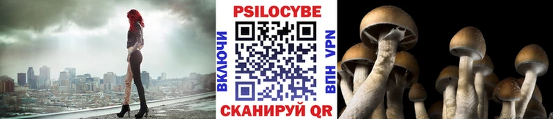 Галлюциногенные грибы Cubensis  кракен рабочий сайт  Реутов 