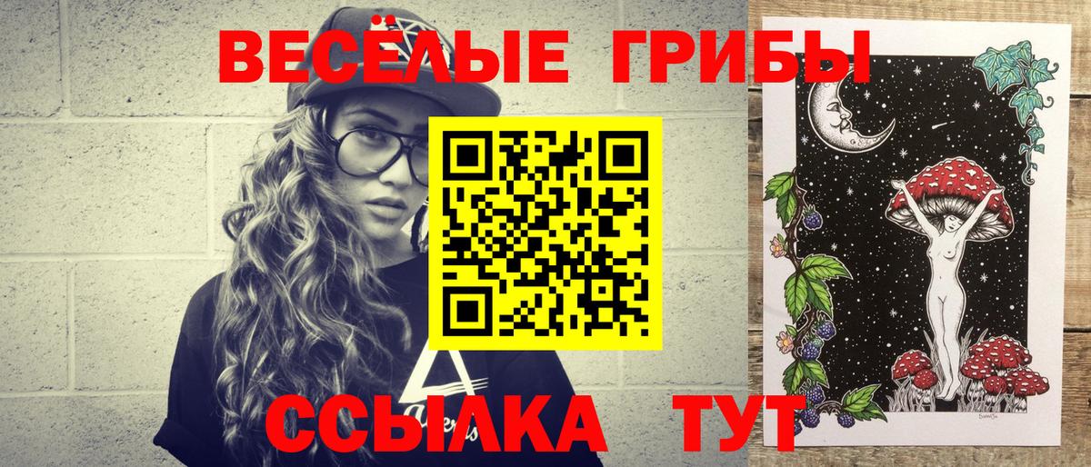 Псилоцибиновые грибы Psilocybe Реутов