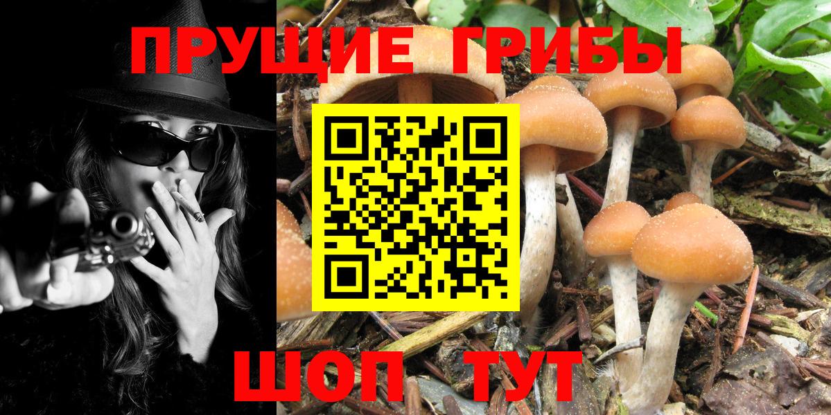 Реутов  Галлюциногенные грибы MAGIC MUSHROOMS  Галлюциногенные грибы мухоморы  Вход с VPN 