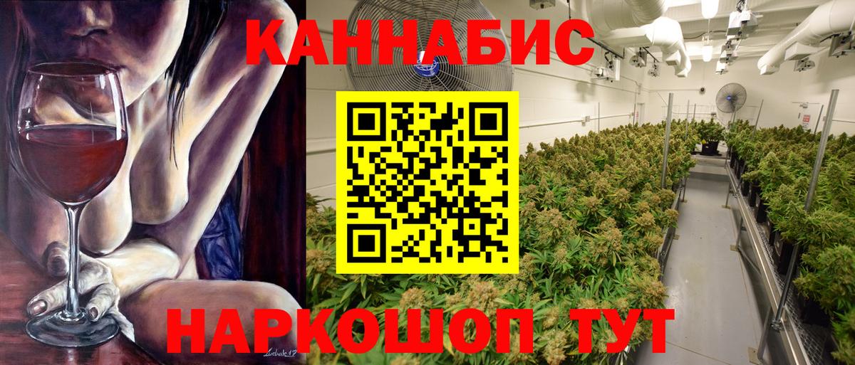 Каннабис SATIVA & INDICA  Канабис план  Реутов  Вход с VPN  Конопля сатива 